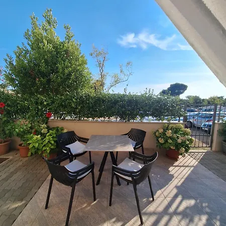 Amarea ماكارسكا